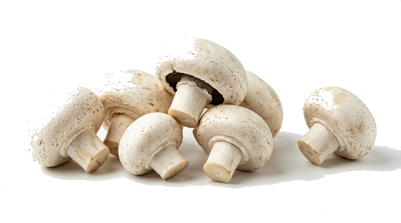 Tractor moving through orchard rows